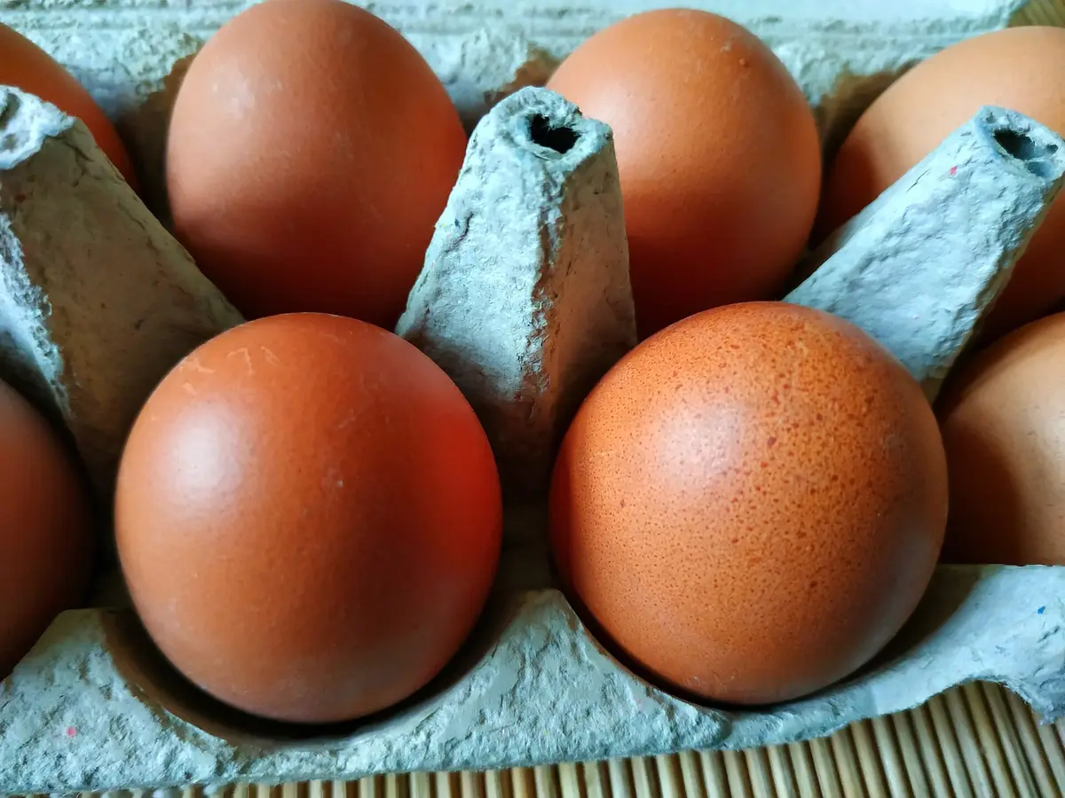 Braune Eier in einem grauen Eierkarton